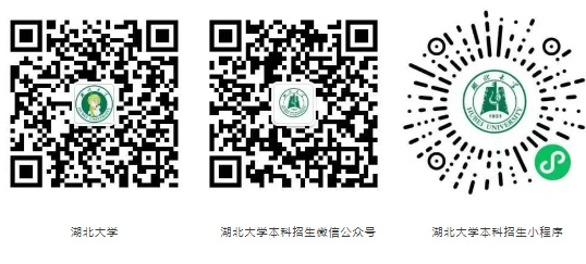 湖北大學(xué)2025年藝術(shù)類招生簡(jiǎn)章