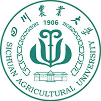2025年全國(guó)高校專項(xiàng)計(jì)劃院校及招生簡(jiǎn)章匯總